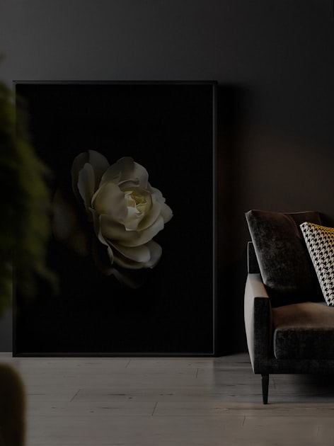 Upholstery Trends to Watch